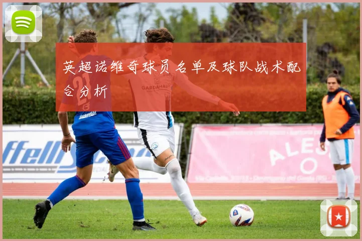 英超诺维奇球员名单及球队战术配合分析