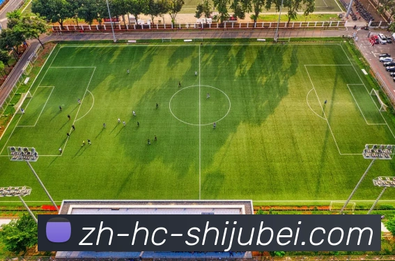 多媒体互动体验