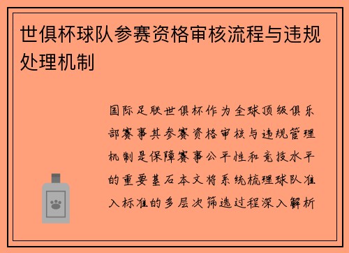 世俱杯球队参赛资格审核流程与违规处理机制